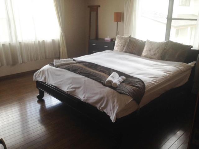 Happo One House Villa